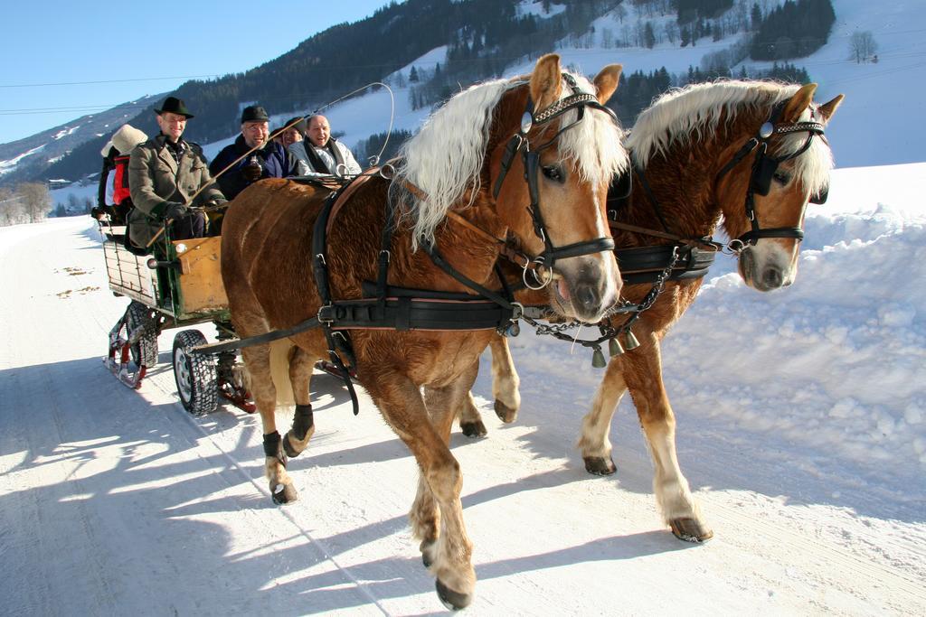 Ferienwohnung Gia Гаус-ім-Енншталь Екстер'єр фото